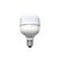 Lampada-LED-Taschibra-High-Power-30W-6500K-E27