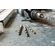 Broca-para-Metal-Bosch-HSS-PointTeQ-7-32--10-Pecas